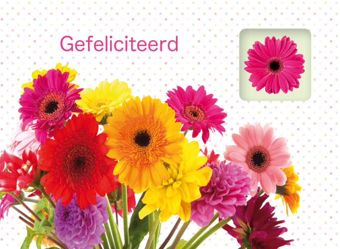 Photomail kaart Gefeliciteerd