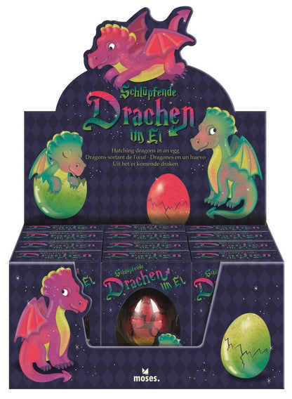 Magische draak in ei