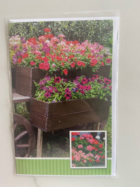 Budgetkaart Bloemen