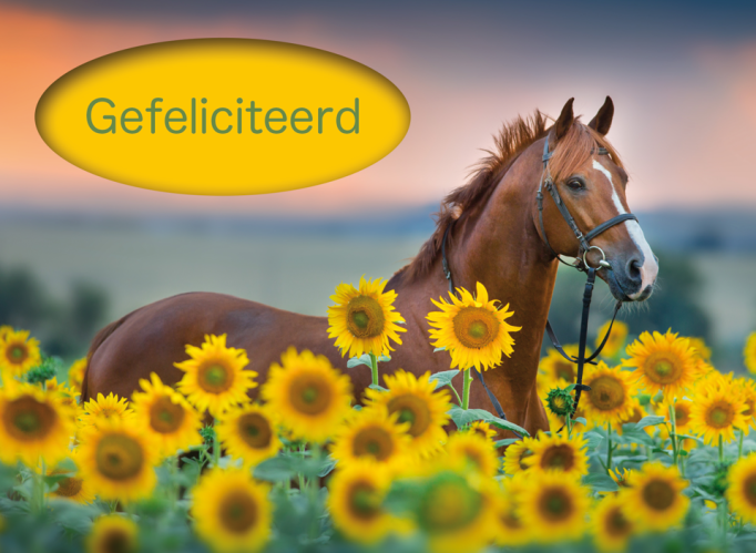 Photomail kaart Gefeliciteerd