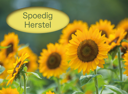 Photomail kaart Spoedig herstel